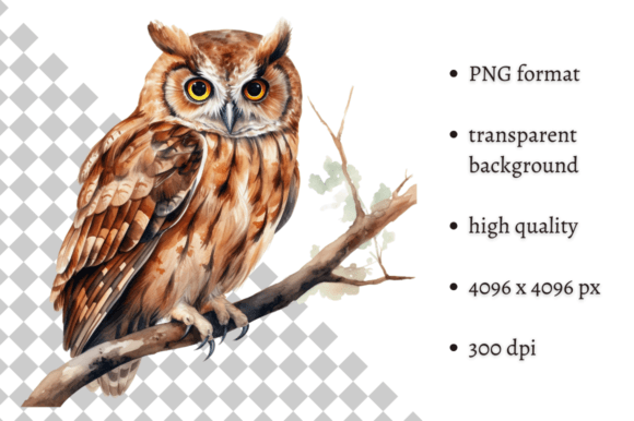 Download Watercolor Woodland Owl PNG Clipart - Png Collection