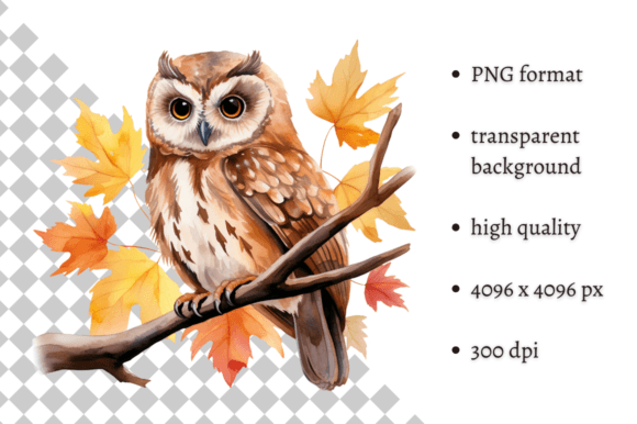 Download Watercolor Woodland Owl PNG Clipart - Png Collection