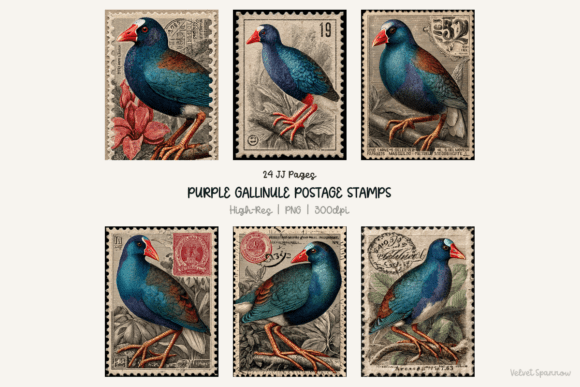 Download Purple Gallinule Postage Stamps 24 Png - Png Collection