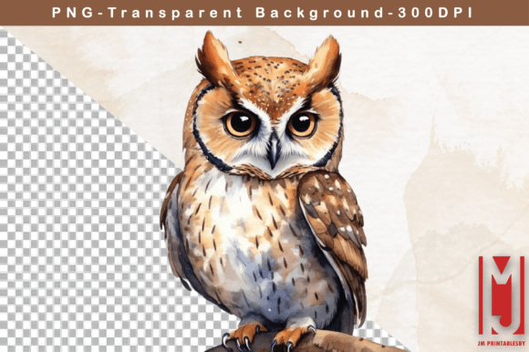 Download Watercolor Owl Clipart - Premium Resources
